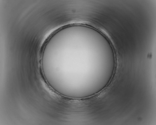 X0000110871124200906181003