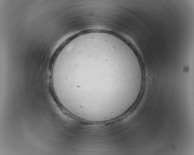 X0000110871125200906181003