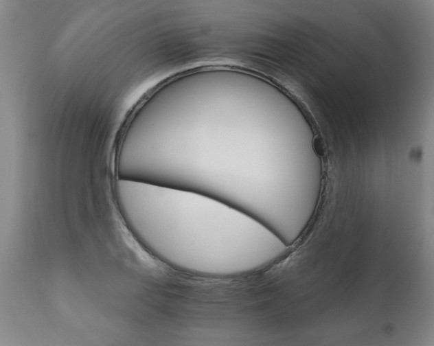 X0000110871127200906181003