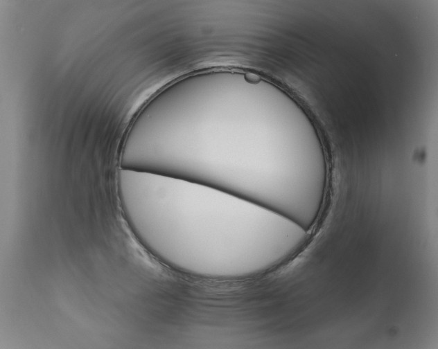 X0000110871129200906181003