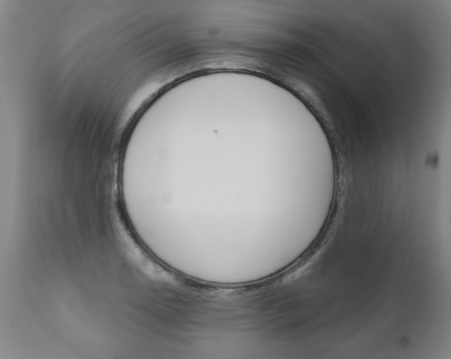 X0000110871130200906181003
