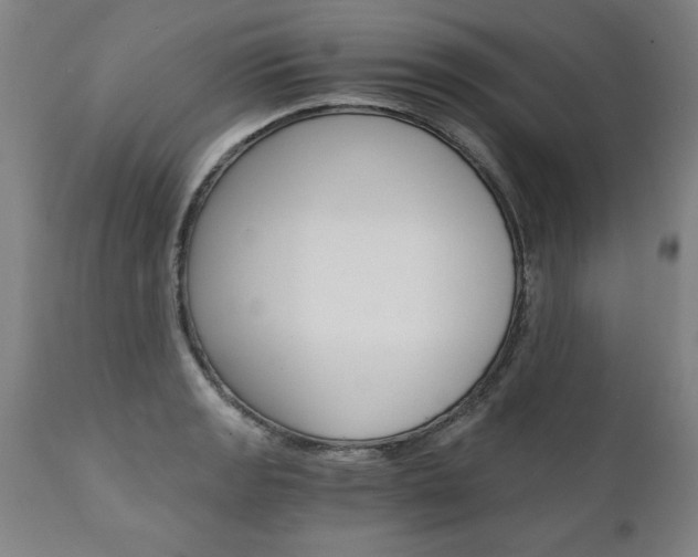 X0000110871133200906181003