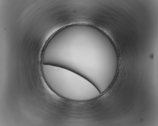X0000110871135200906181003