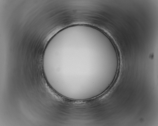 X0000110871137200906181003