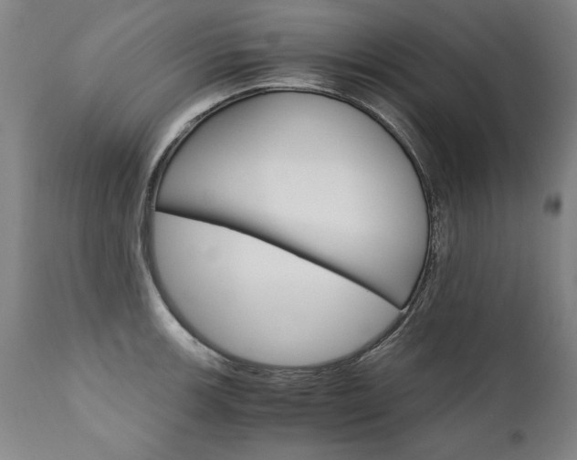 X0000110871139200906181003