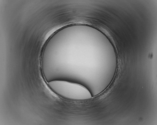 X0000110871141200906181003