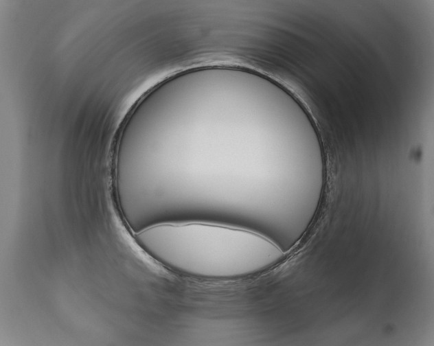 X0000110871142200906181003