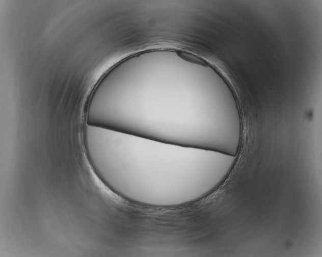X0000110871143200906181003