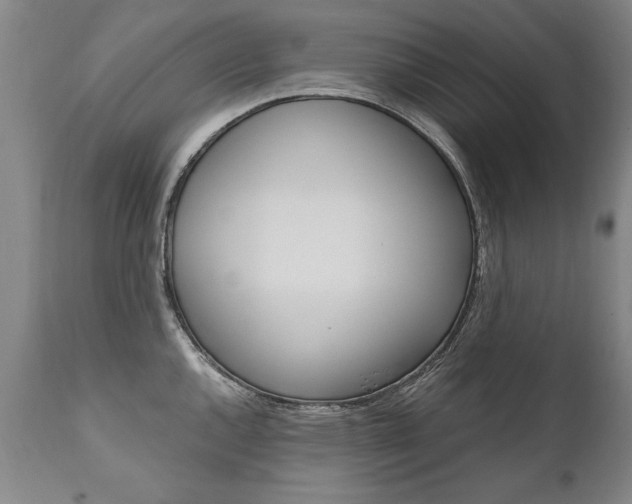 X0000110871144200906181003