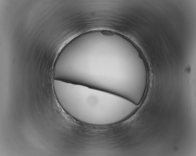 X0000110871145200906181003