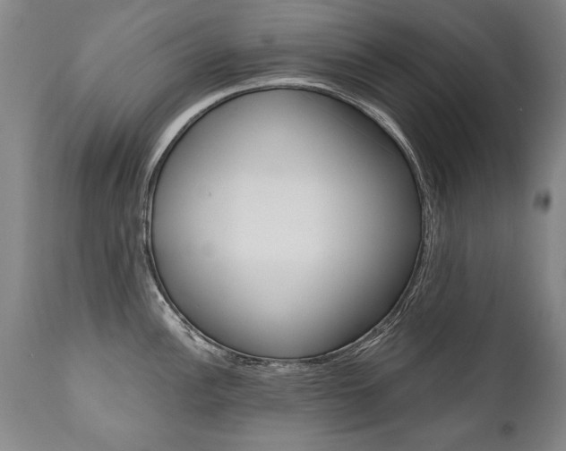 X0000110871148200906181003