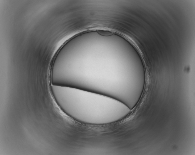 X0000110871149200906181003