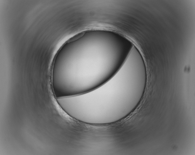 X0000110871152200906181003