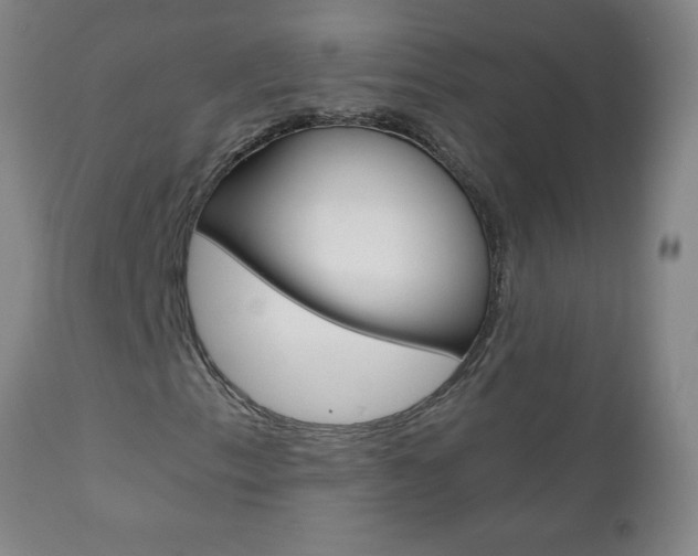 X0000110871153200906181003