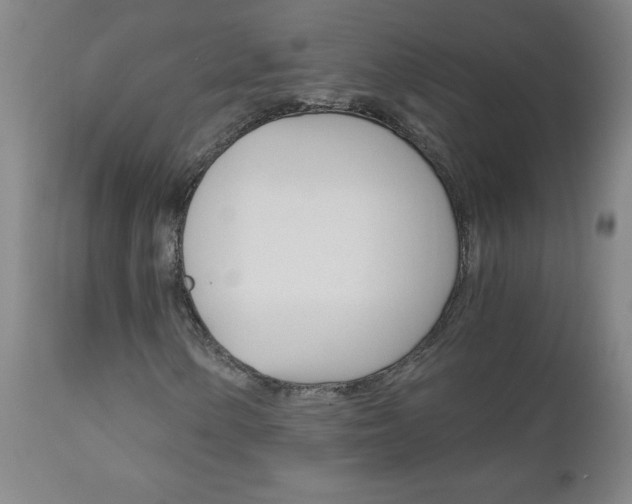 X0000110871154200906181003