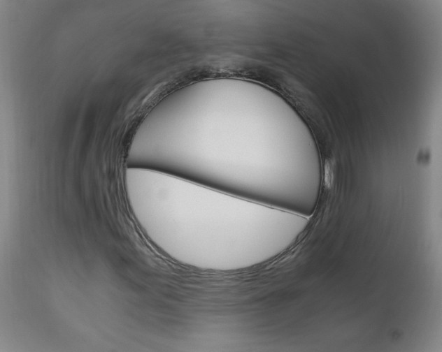 X0000110871155200906181003