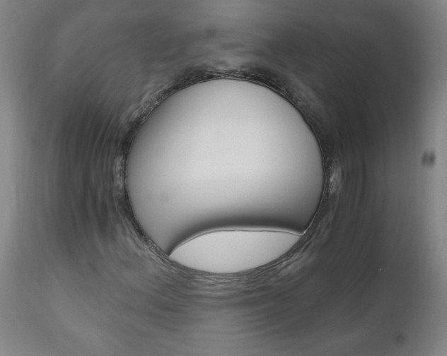 X0000110871156200906181003