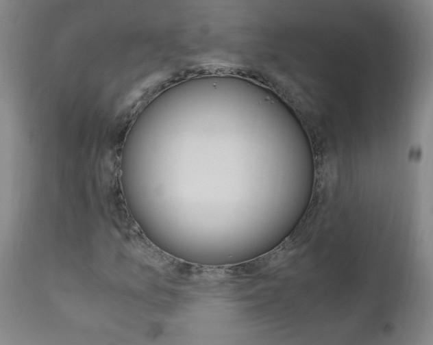 X0000110871157200906181003