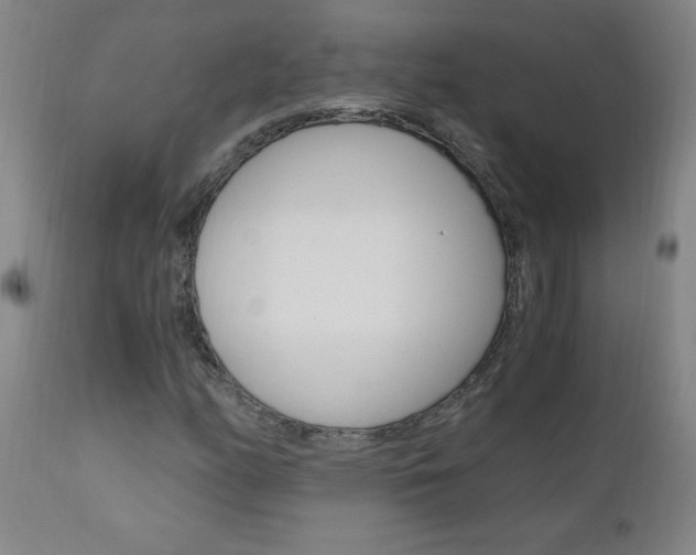 X0000110871158200906181002