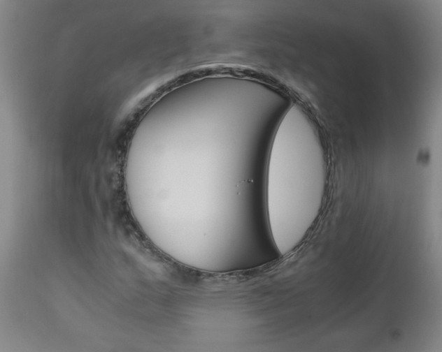 X0000110871159200906181002