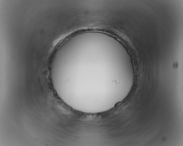 X0000110871160200906181002