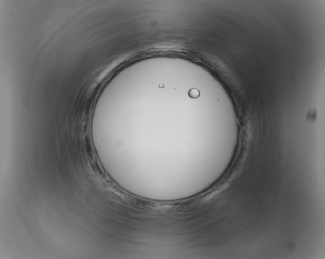 X0000110871162200906181002