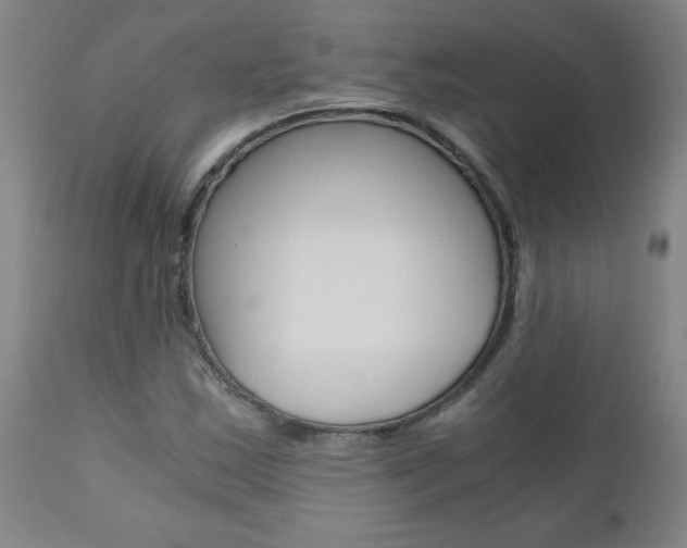 X0000110871163200906181002
