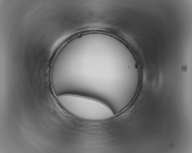 X0000110871164200906181002