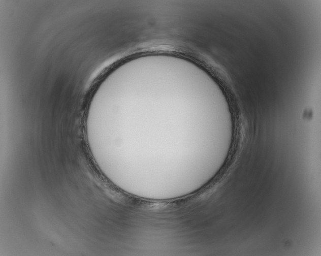 X0000110871166200906181002