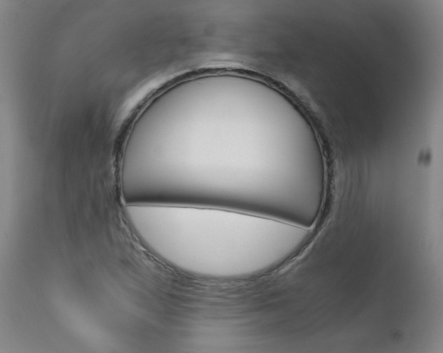 X0000110871167200906181002