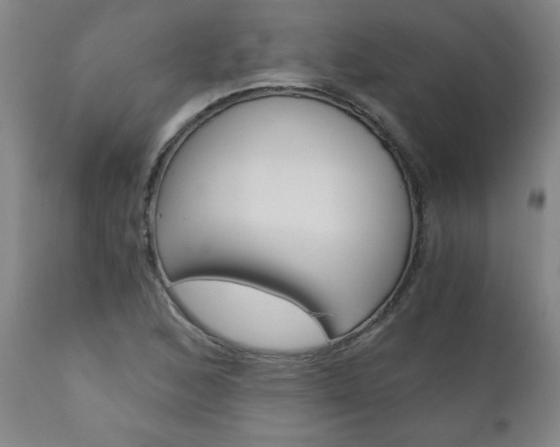X0000110871168200906181002