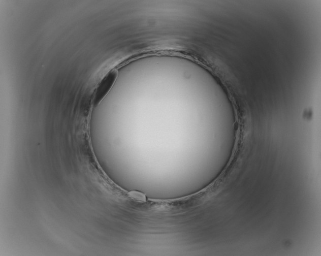 X0000110871169200906181002