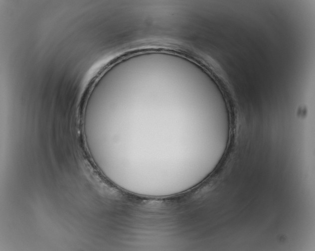 X0000110871172200906181002