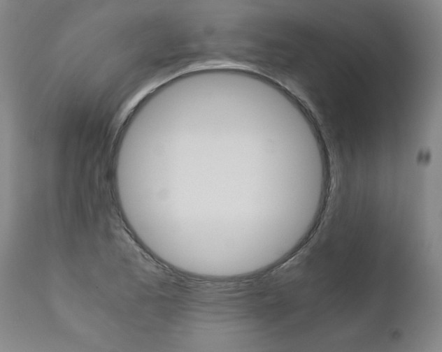 X0000110871173200906181002