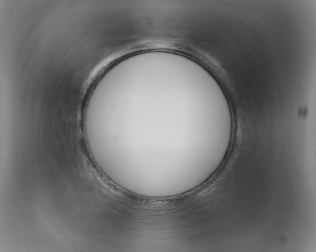 X0000110871174200906181002