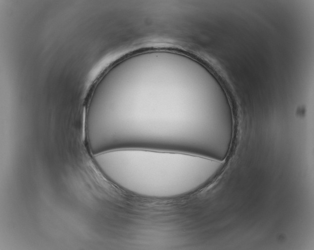 X0000110871175200906181002
