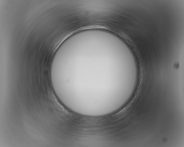 X0000110871177200906181002