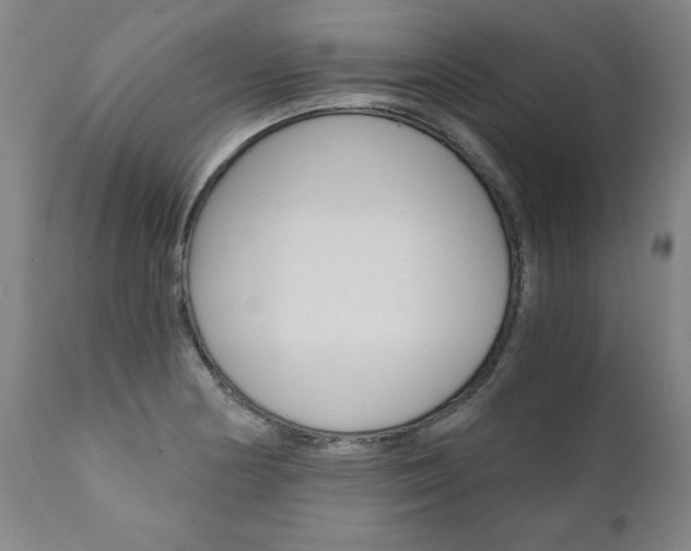 X0000110871178200906181002
