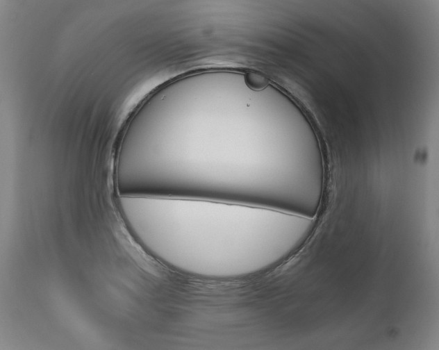 X0000110871179200906181002