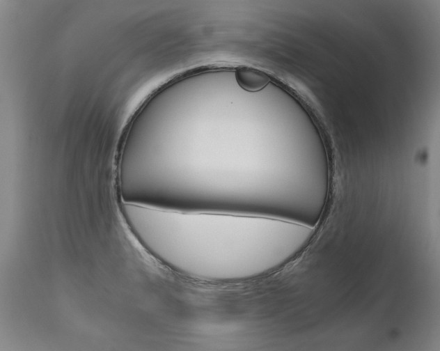 X0000110871183200906181002