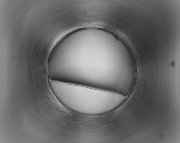 X0000110871184200906181002