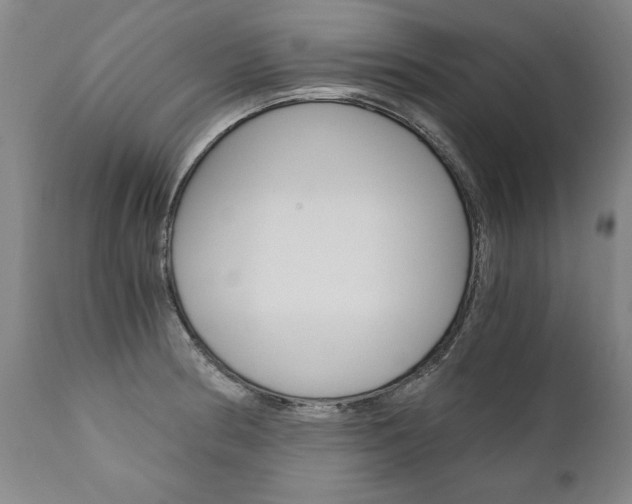 X0000110871186200906181002
