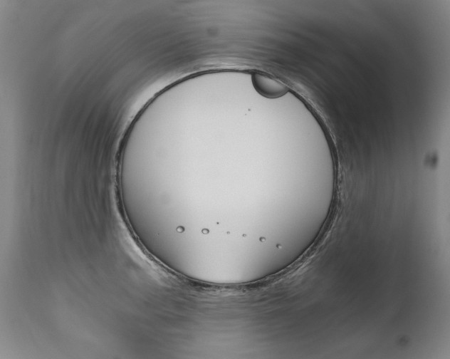 X0000110871187200906181002