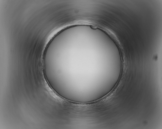 X0000110871192200906181002