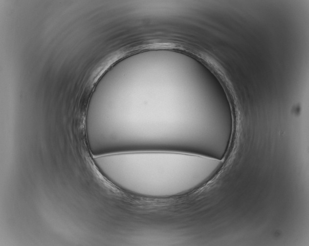 X0000110871193200906181002