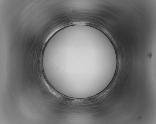 X0000110871194200906181002