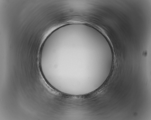 X0000110871195200906181002