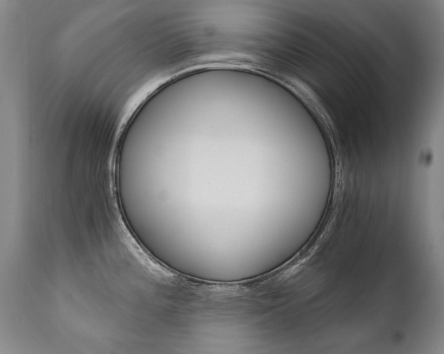 X0000110871196200906181002