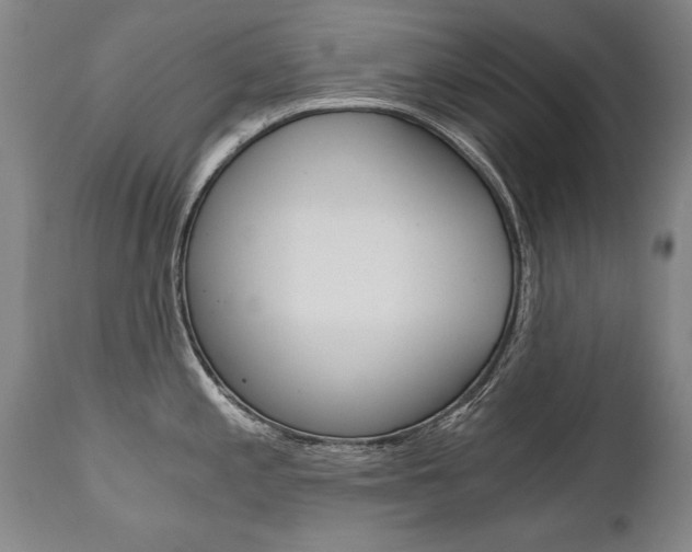 X0000110871197200906181002
