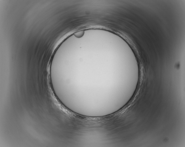 X0000110871198200906181002